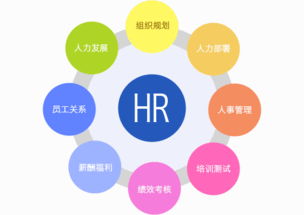 企業(yè)申請人力資源服務許可證全流程與資質(zhì)解析